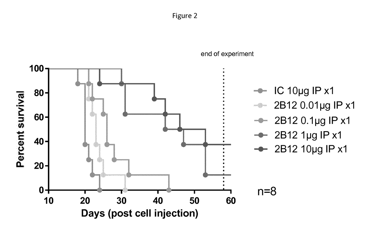 Humanized antibodies with increased stability