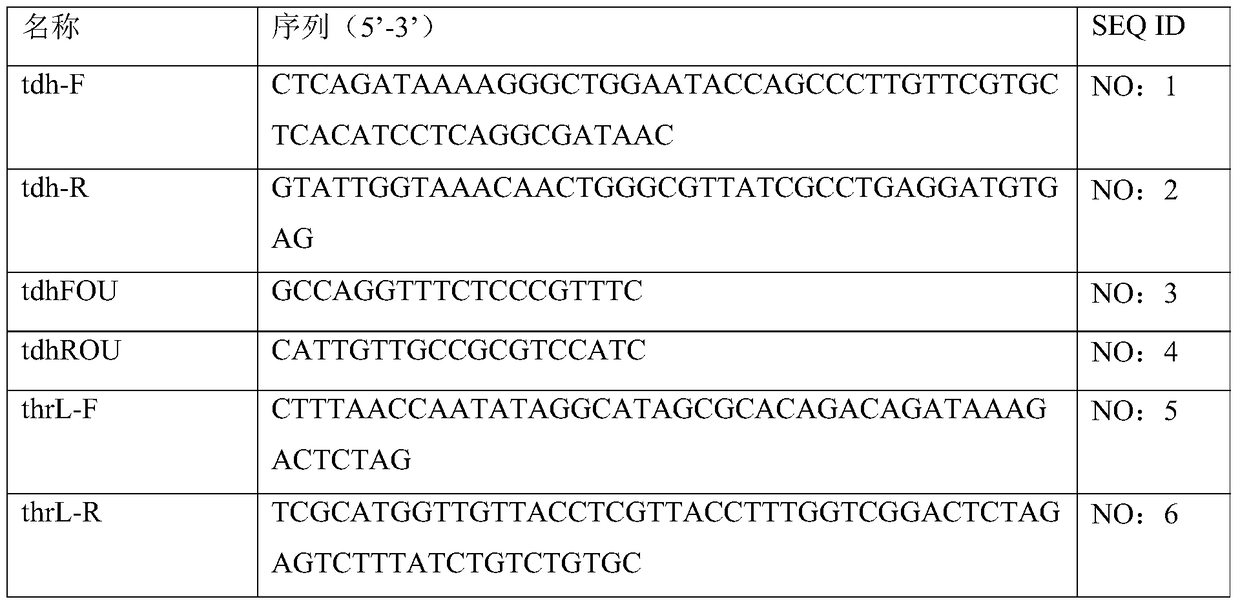 L-Threonine Genetic Engineering Production Bacteria