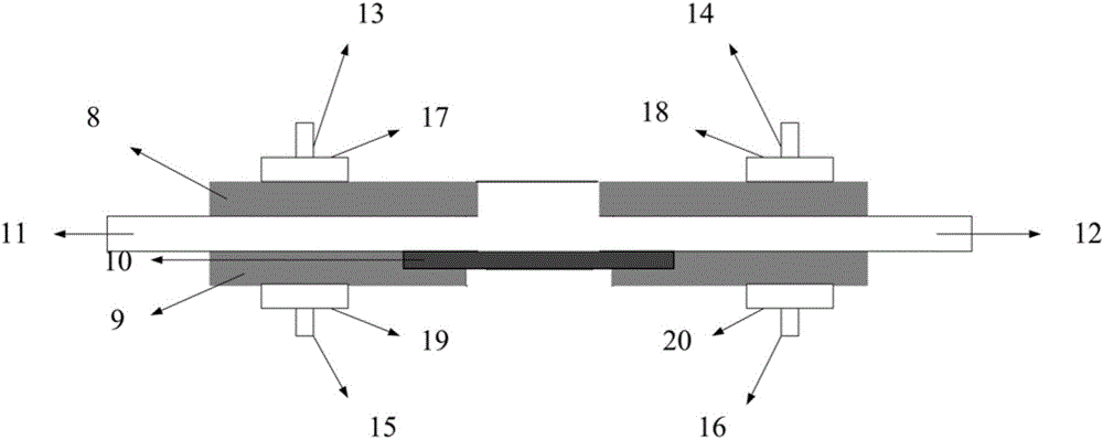 Sensor chip for detecting microcystic toxins and mobile monitoring equipment thereof