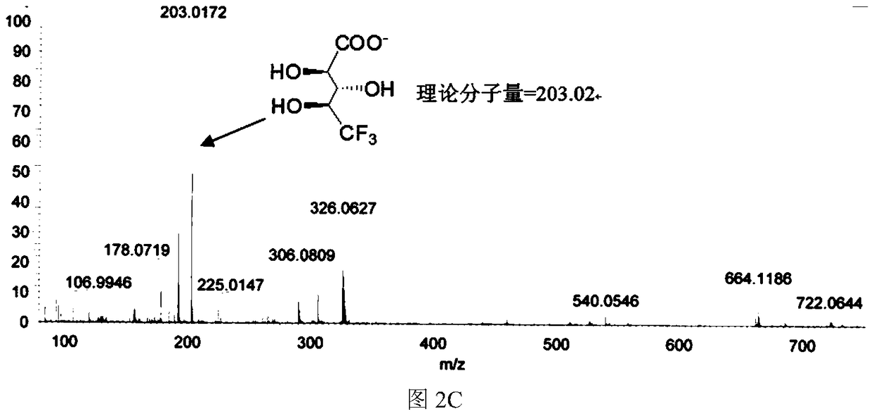 Short-chain dehydrogenase capable of hydrolyzing ribose and various fluororibose and its application