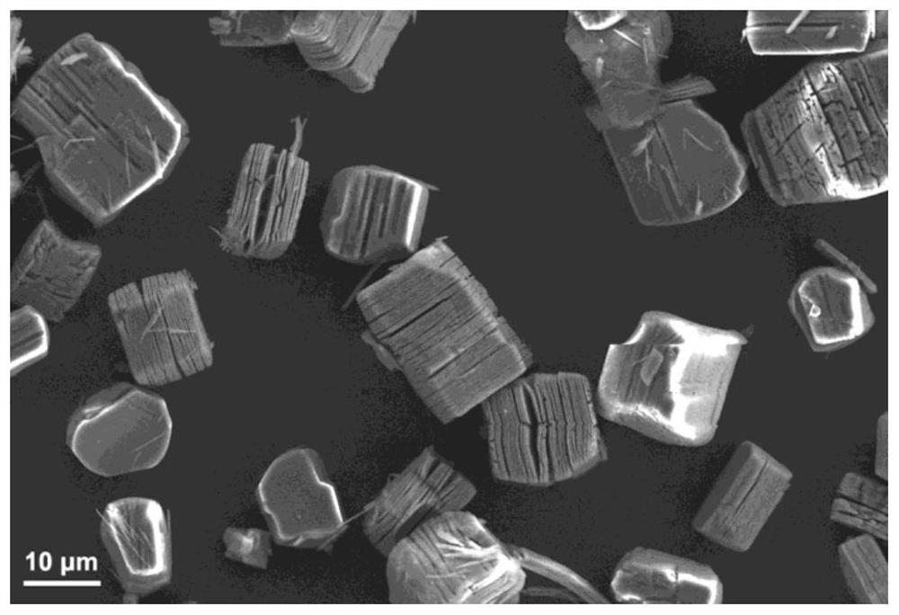 Two-dimensional carbon material and preparation method and application thereof