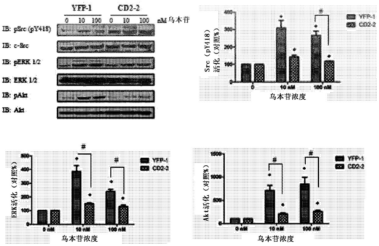 Cardiac steroid antagonists and related methods