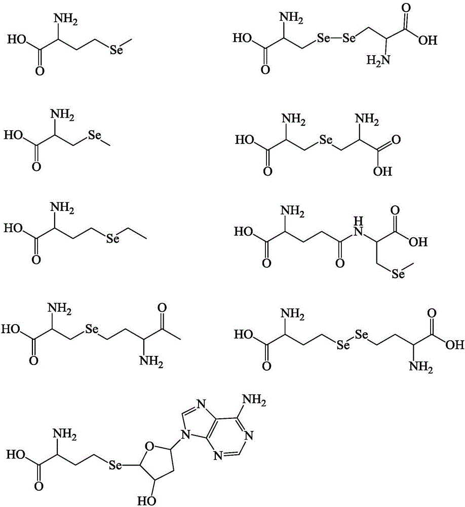 Selenium-enriched solid compound seasoning and preparation method thereof