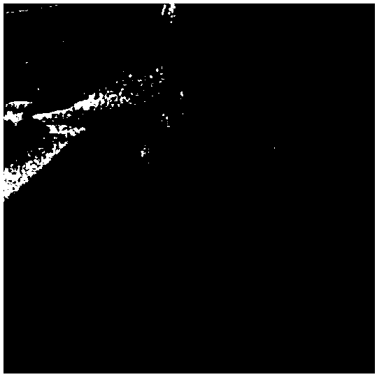 Rapid multi-resolution denoising method and device under hybrid noise model