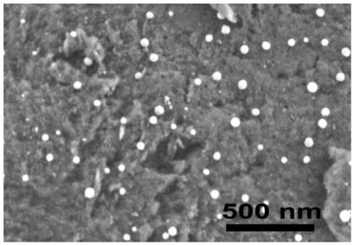 Preparation method and electrochemical application of a porous carbon-supported nitrogen-containing bimetallic catalyst