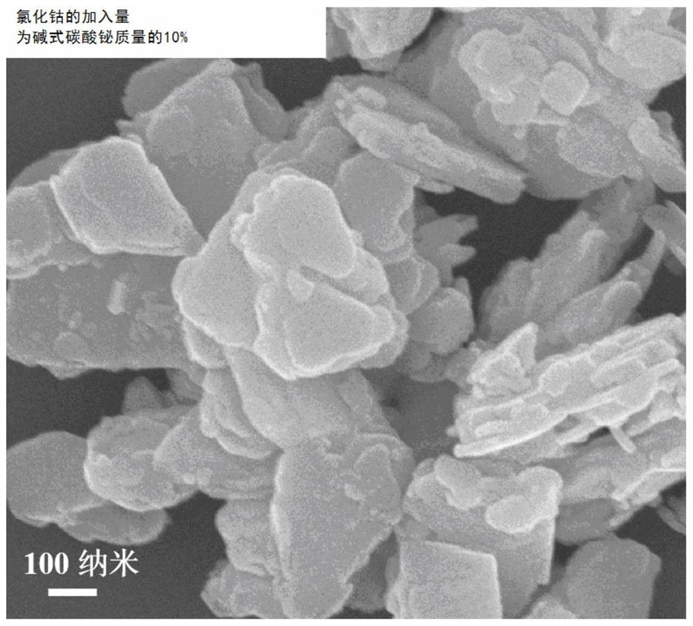 A kind of cobalt oxide-doped bismuth subcarbonate/bismuth oxychloride photocatalyst and preparation method thereof