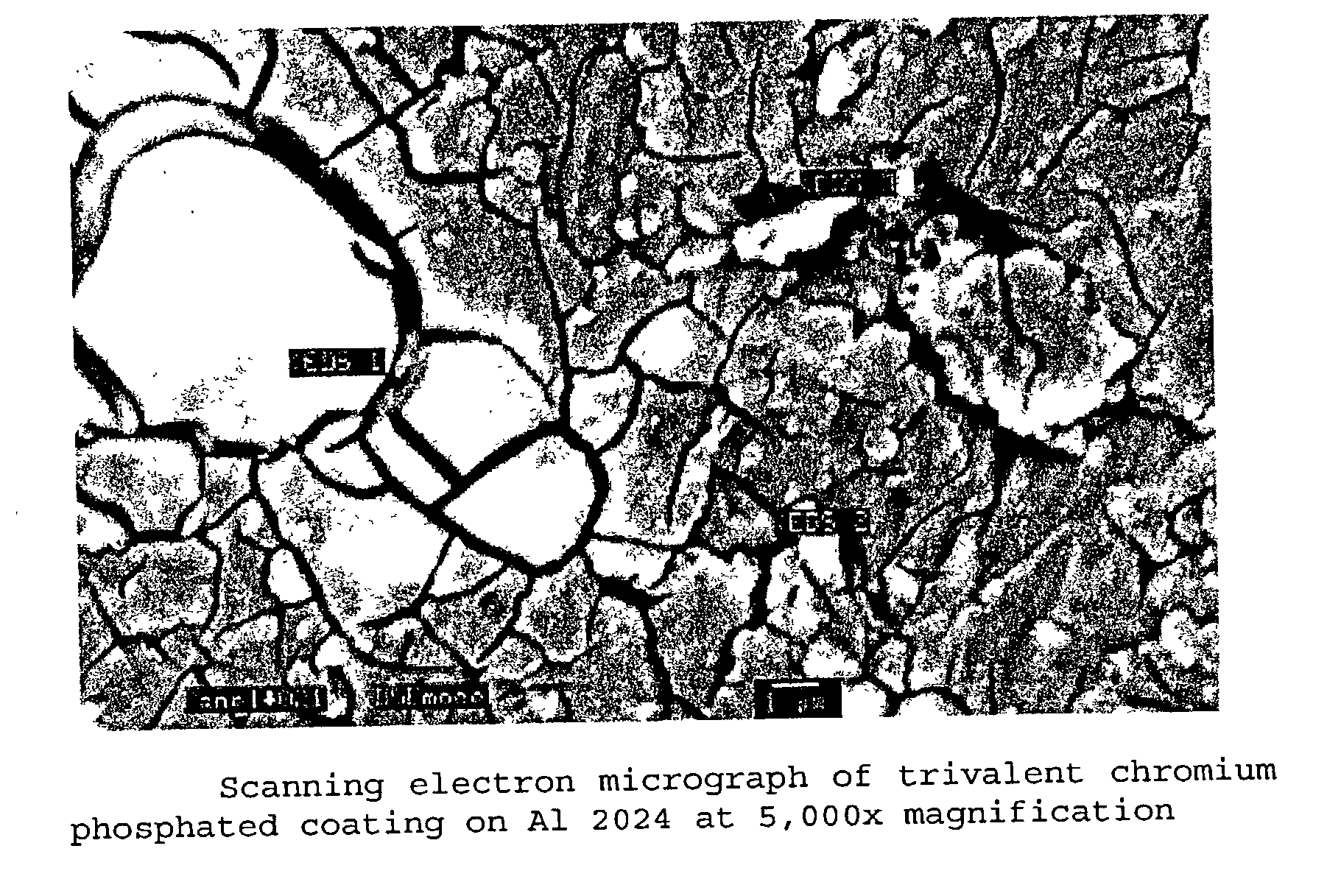 Corrosion resistant trivalent chromium phosphated chemical conversion coatings