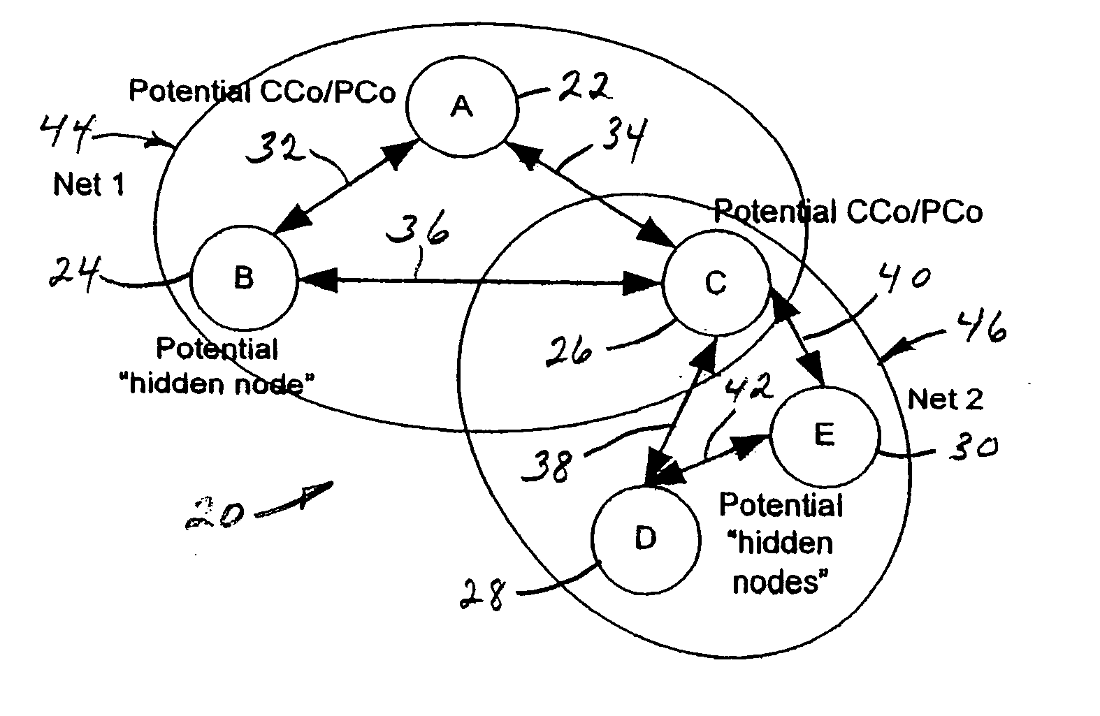 Distributed network organization and topology discovery in ad-hoc network