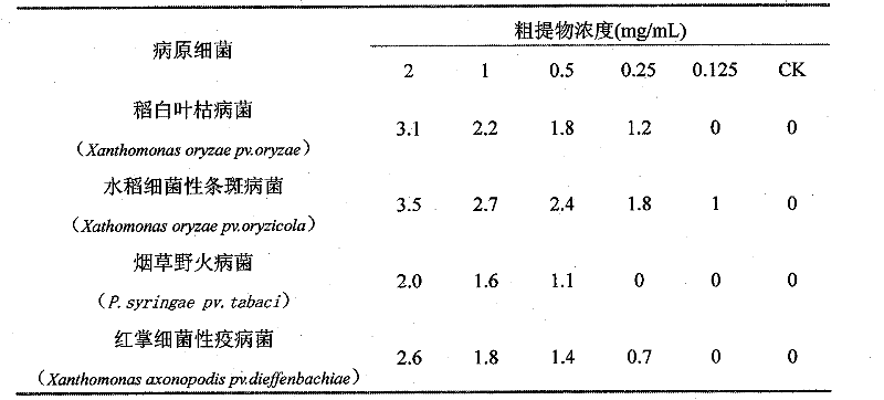 Biological preparation capable of preventing and treating rice streak disease and promoting growth and application thereof