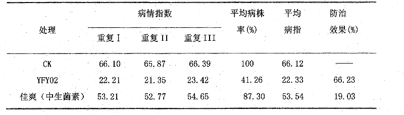 Biological preparation capable of preventing and treating rice streak disease and promoting growth and application thereof