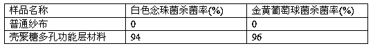 Chitosan porous functional layer of dustproof and antibacterial mask and preparation method of chitosan porous functional layer