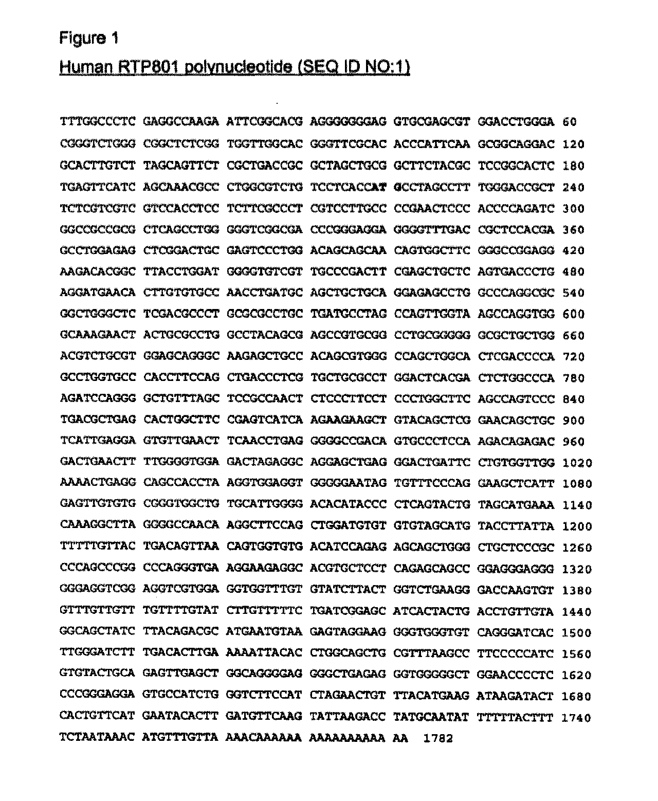 Therapeutic uses of inhibitors of rtp801