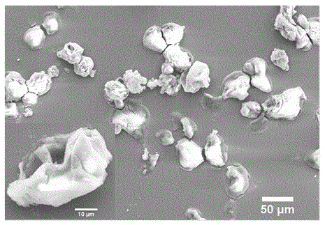 Method for preparing inorganic mineralized microcapsules based on droplets obtained by dissolving crystal nuclei in ethanol in water