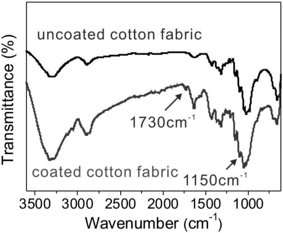 Material changed from super-amphiphilic to super-hydrophobic/super-oleophylic by virtue of pH control and preparation method thereof