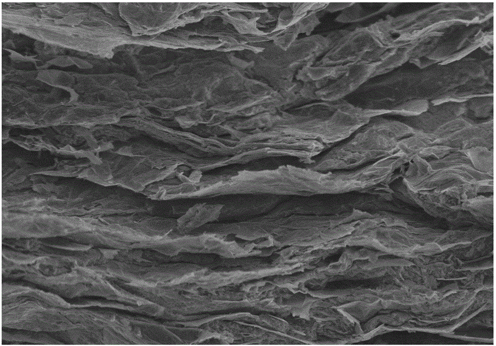 Negative electrode active material, preparation method thereof, and lithium ion battery