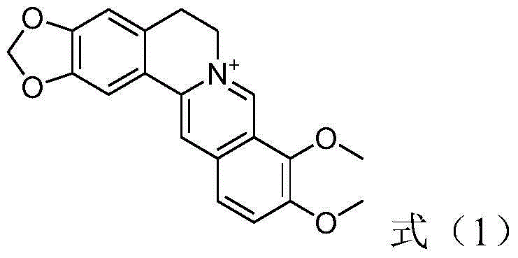 Bactericide composition and application thereof