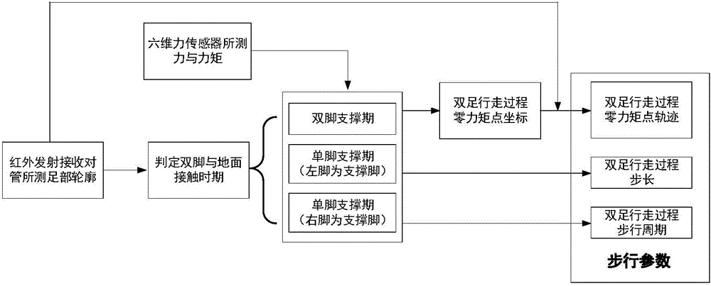 Biped walking parameter measuring method and apparatus