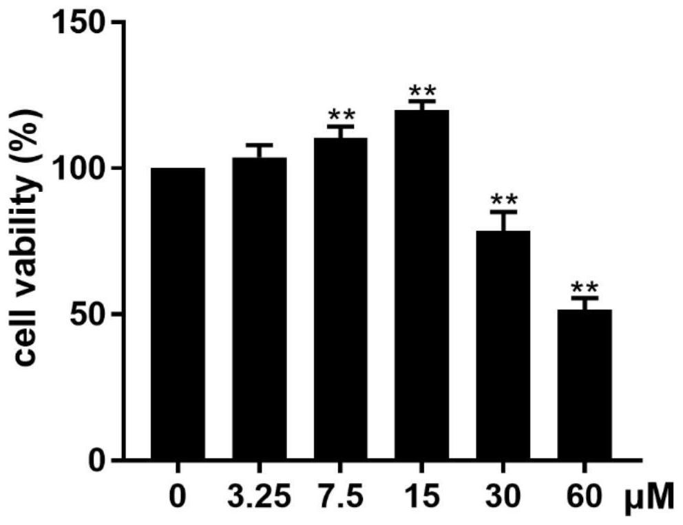 Application of agrimonolide in antagonizing myocardial cell injury caused by hypoxia