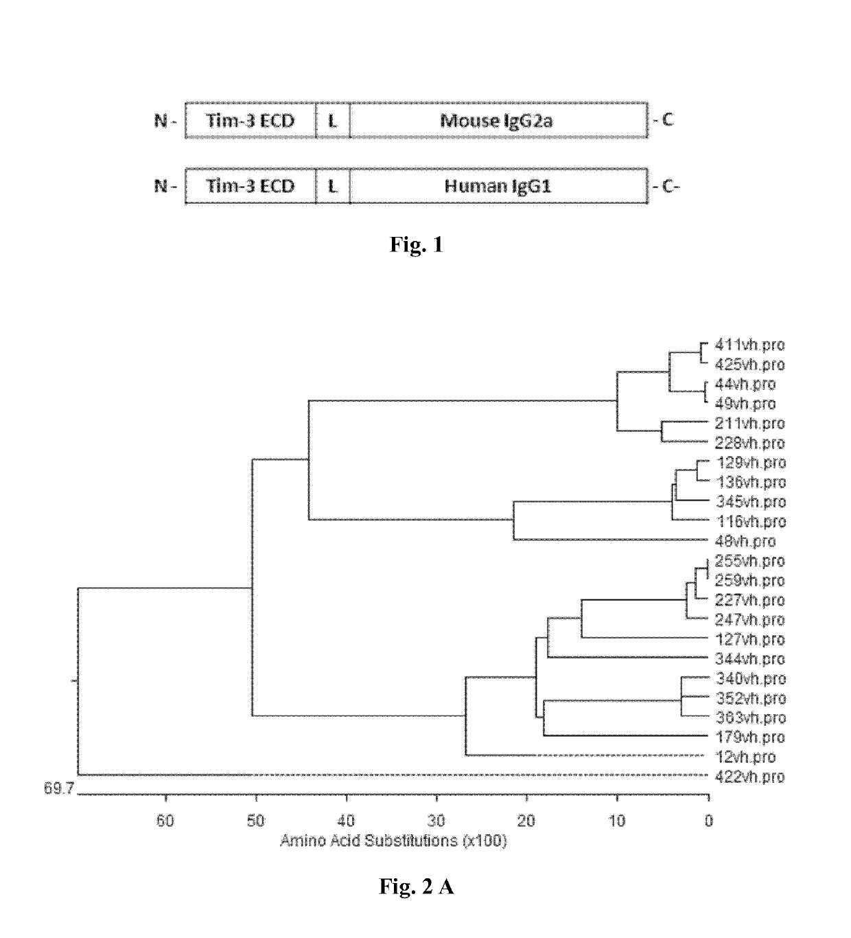 Anti-tim-3 antibodies and use thereof