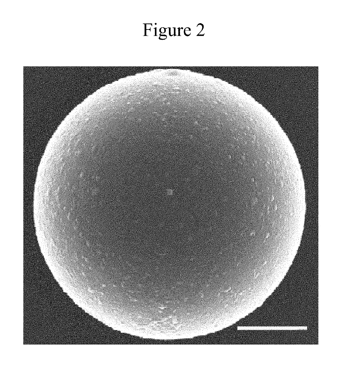 Self-Regenerating Hyaluronan Polymer Brushes