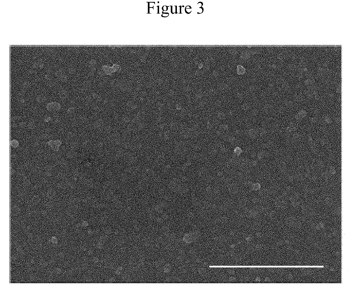 Self-Regenerating Hyaluronan Polymer Brushes