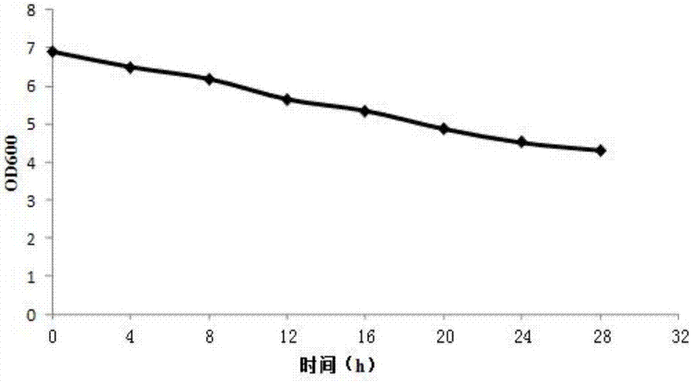 Lactobacillus paracasei and application thereof