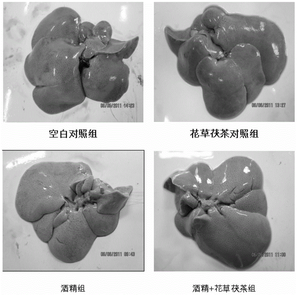 Herbal Fu tea capable of alleviating hangover and protecting liver