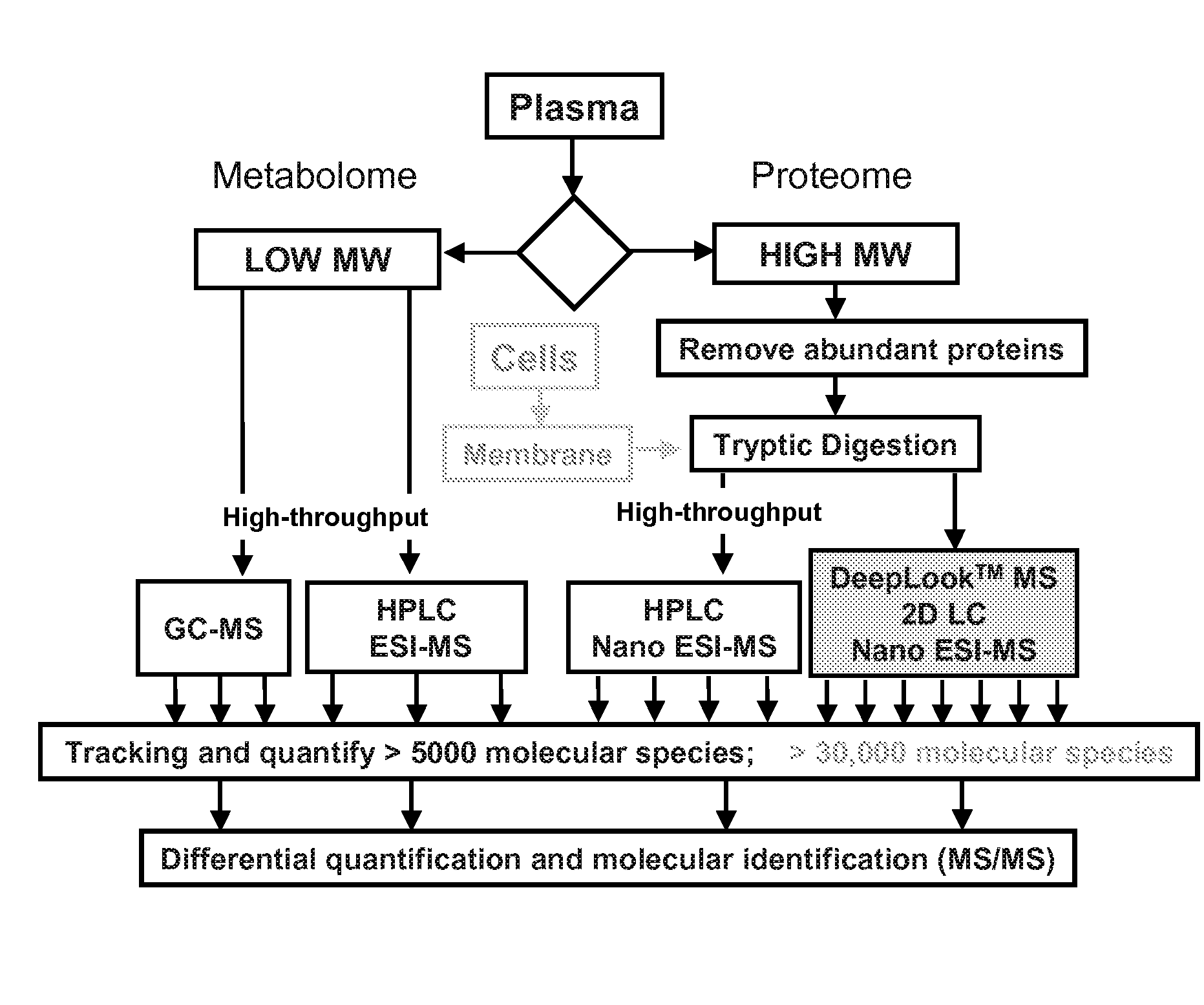 Diagnostic biomarkers for neurodevelopmental disorders