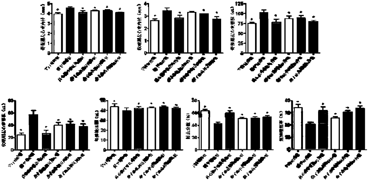 Ganoderma lucidum spore oil and novel application of pharmaceutical composition comprising ganoderma lucidum spore oil