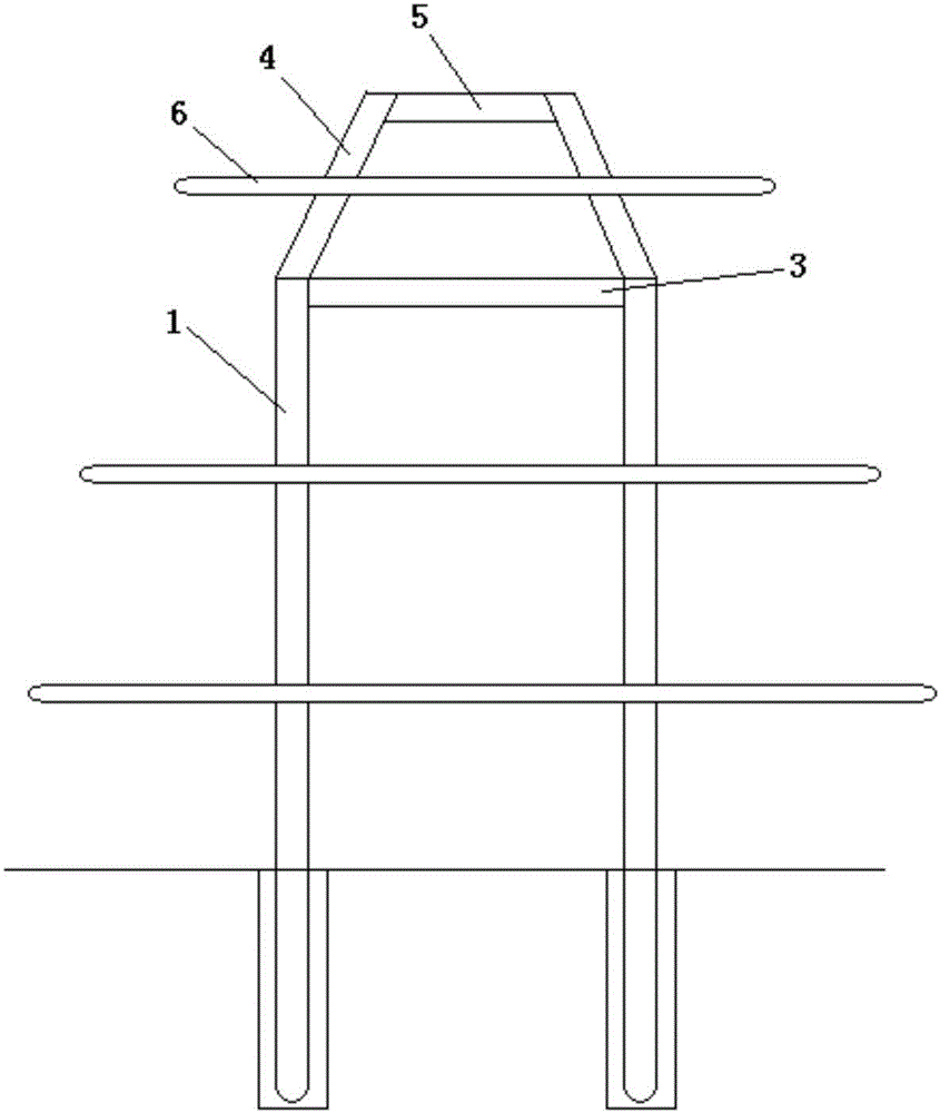 Dual-row, dual-layer and one-way cultivation shelf for planting dragon fruits and cultivation method of dual-row, dual-layer and one-way cultivation shelf