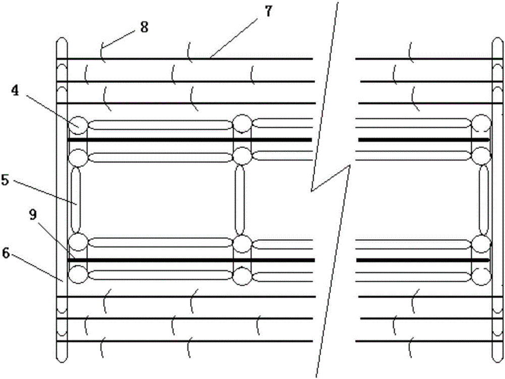 Dual-row, dual-layer and one-way cultivation shelf for planting dragon fruits and cultivation method of dual-row, dual-layer and one-way cultivation shelf