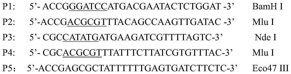 Method for enhancing 2,3-butanediol synthesis by improving intracellular coenzyme level