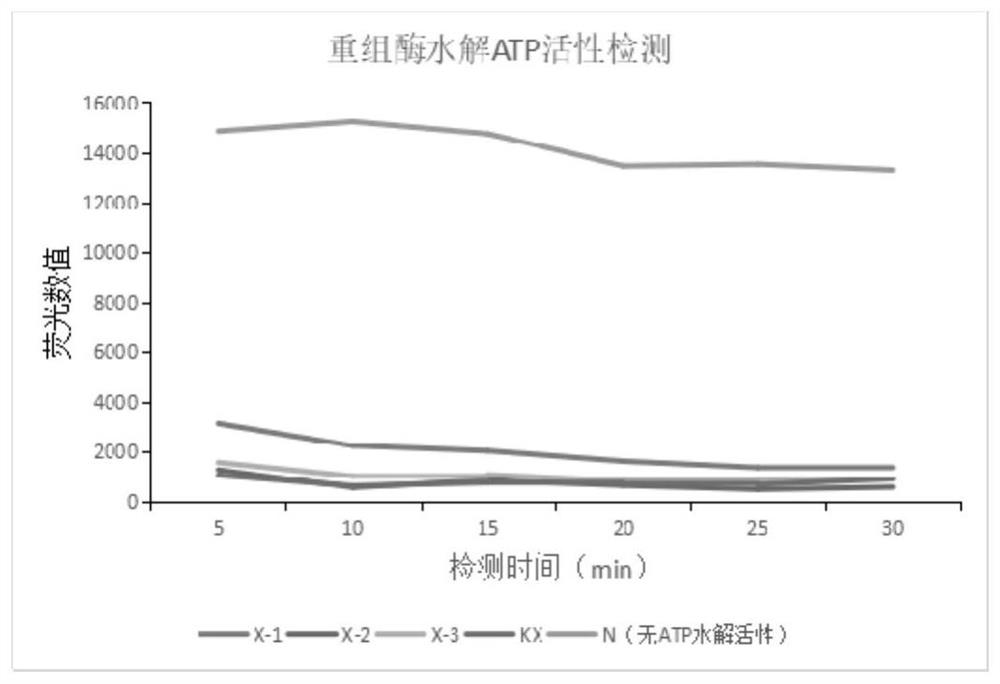 RDA method and kit for rapidly detecting respiratory syncytial virus