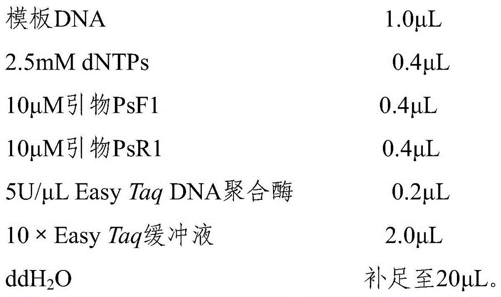 Specific coi primers, kits containing them, and applications