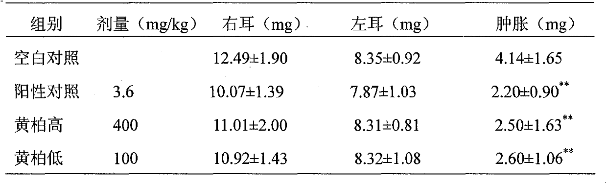 Cortex phellodendri polysaccharide extract and preparation method and medical application thereof