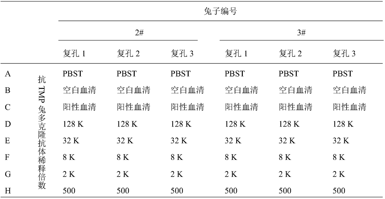 Preparation method of anti-TMP (thrombopoietin mimic peptide) rabbit polyclonal antibody