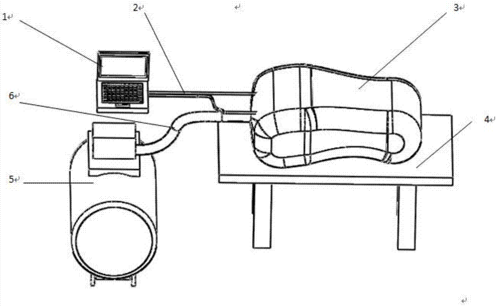 Tracking device for simulating motion of human lung tumor