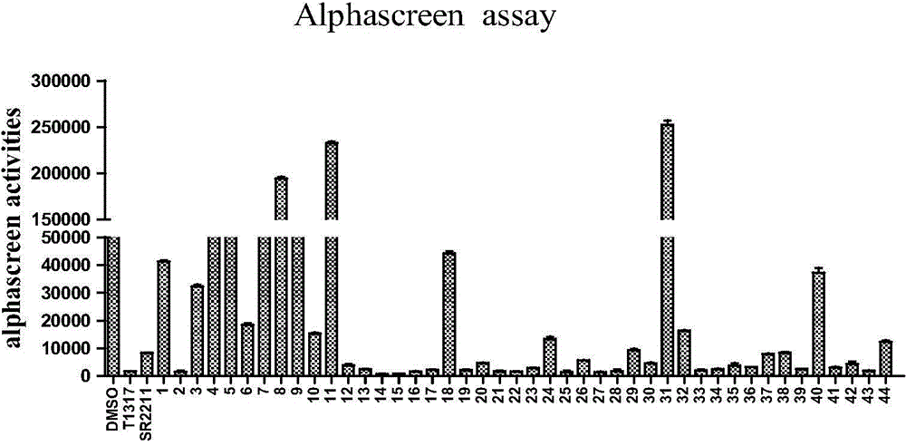 N-pheny-lamide compounds and applications thereof