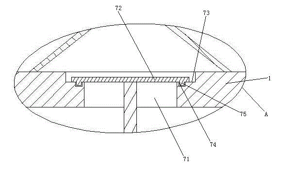 Water sample collector provided with response acceleration mechanism