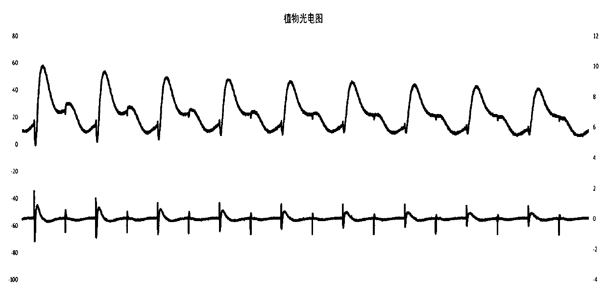 A plant electrical signal analysis method and system