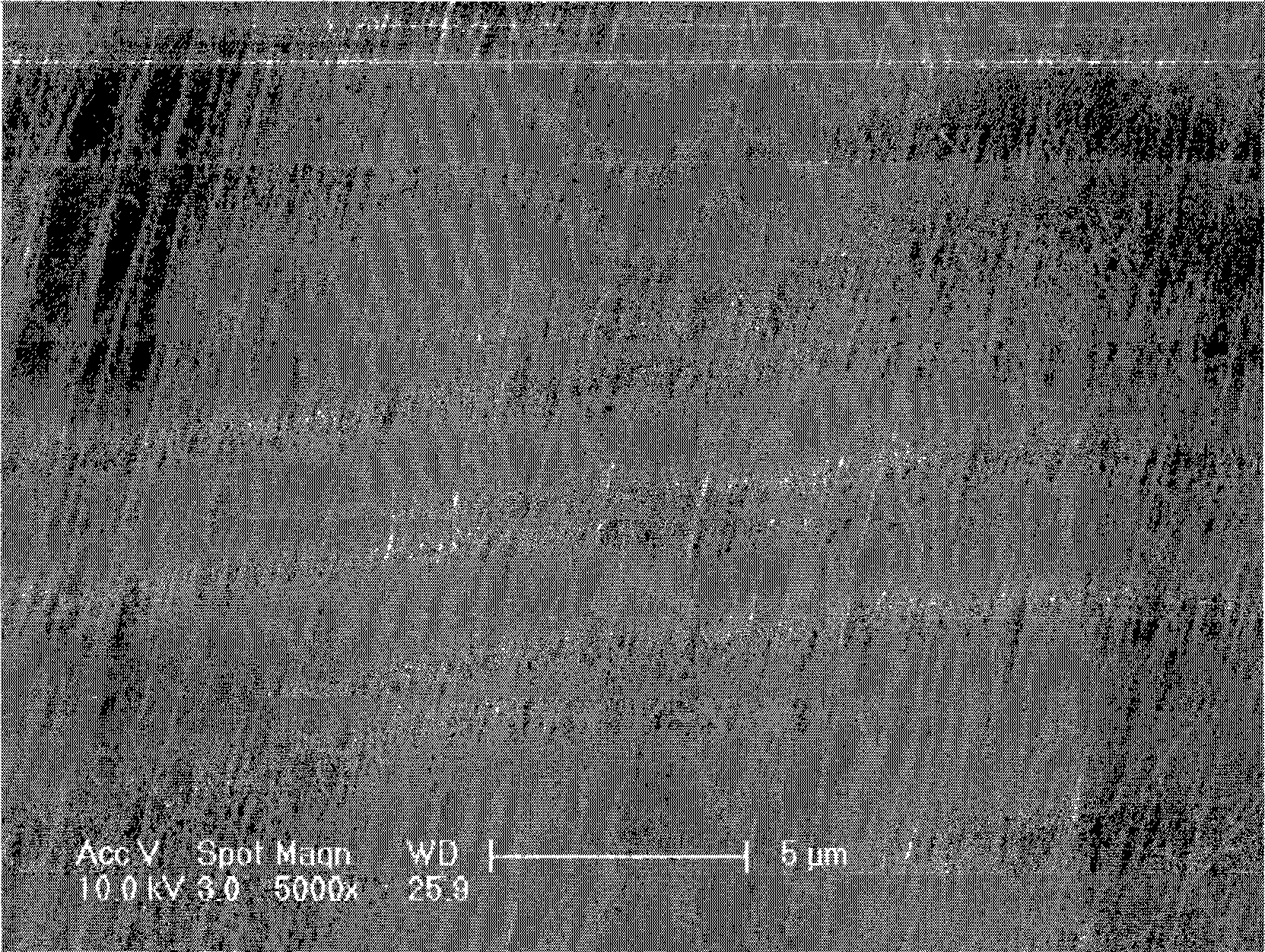 Touch screen and display device