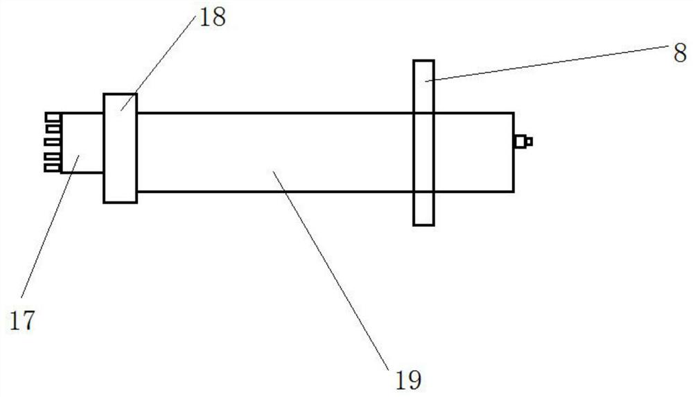 Direct insertion type chloride ion detection device