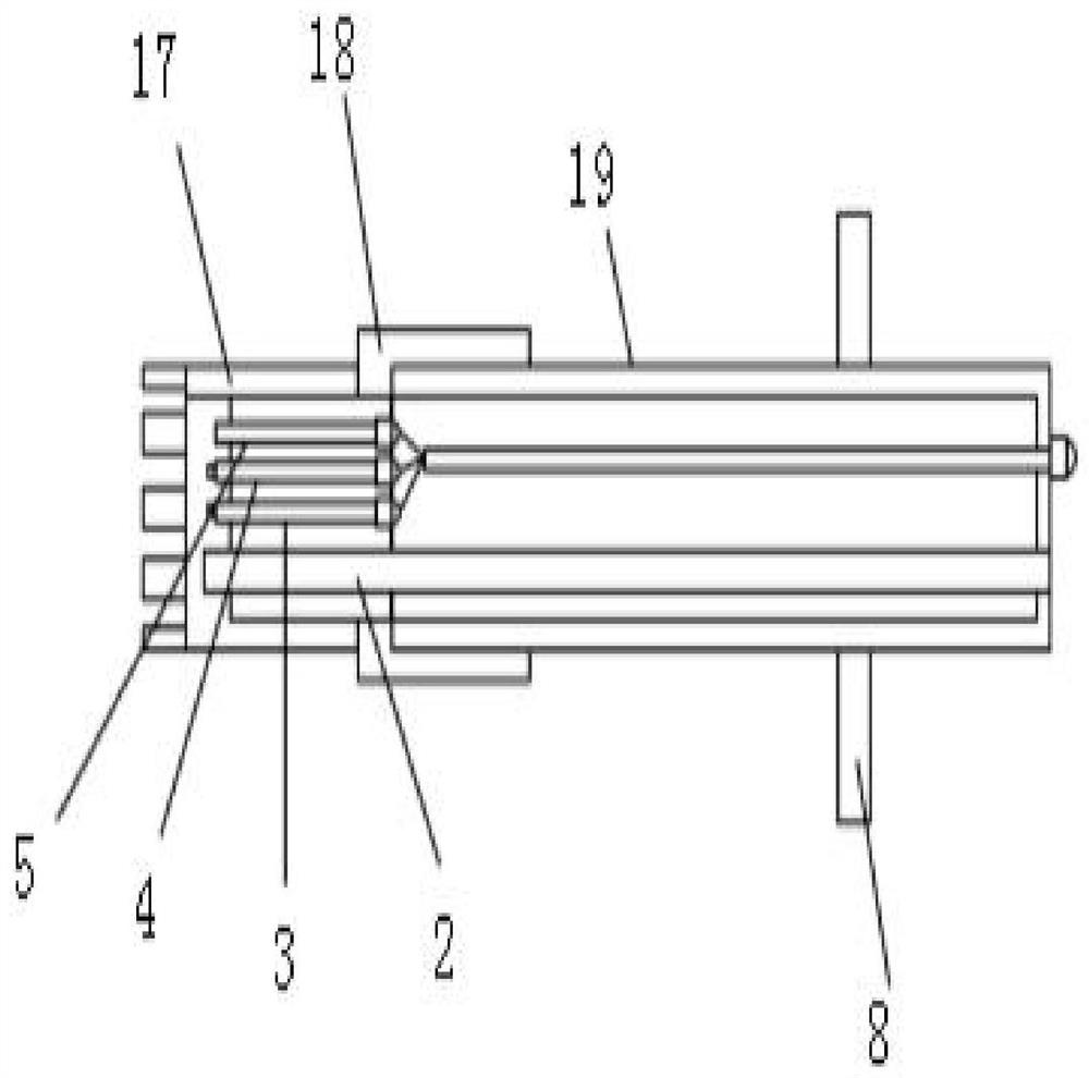 Direct insertion type chloride ion detection device