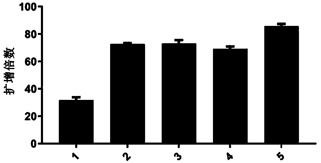 Cryopreservatio solution and cryopreservation method for human peripheral blood mononuclear cells