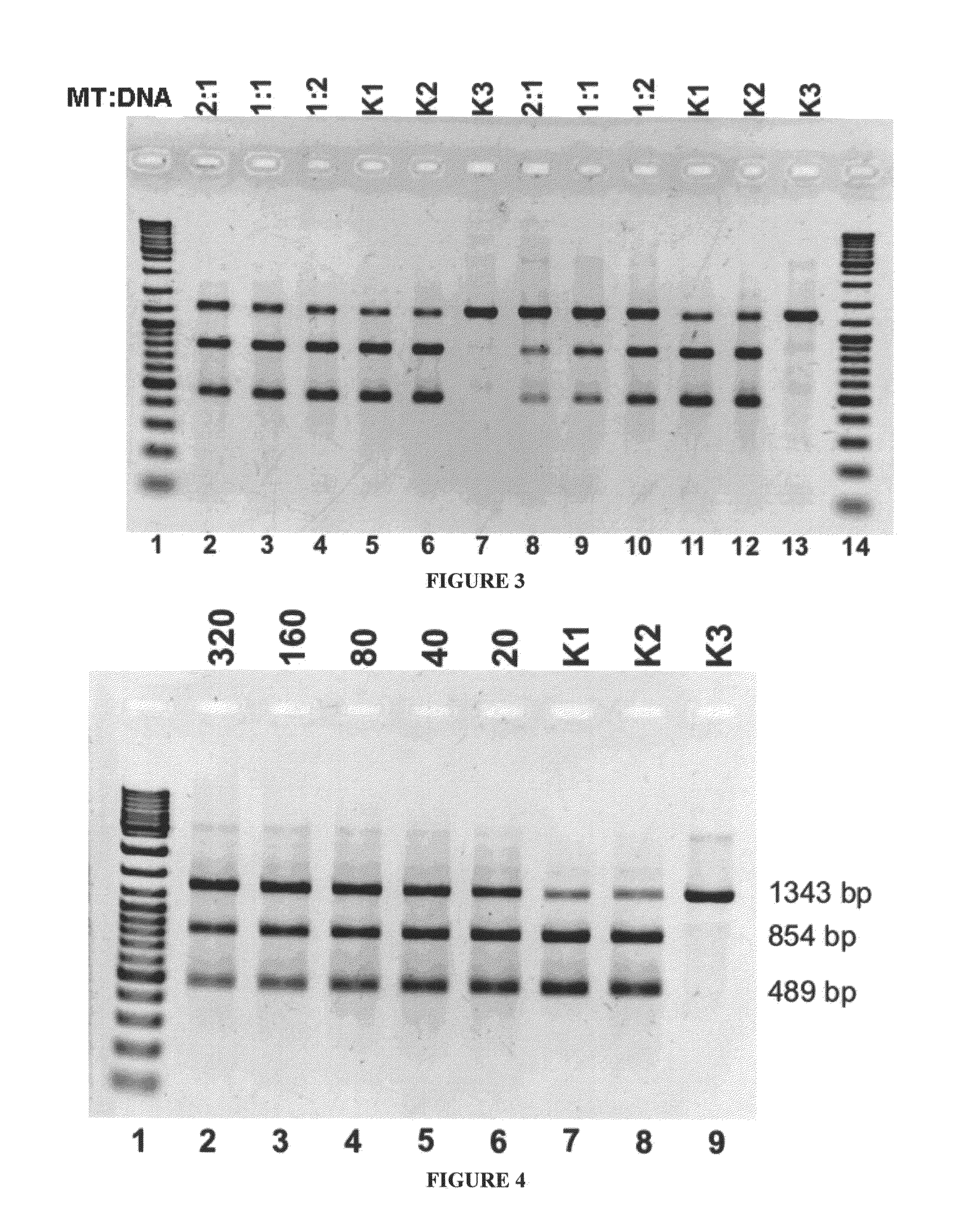 Analysis of methylation sites