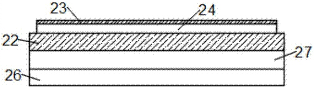 Extraction and separation device for biological pharmacy