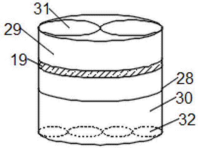 Extraction and separation device for biological pharmacy