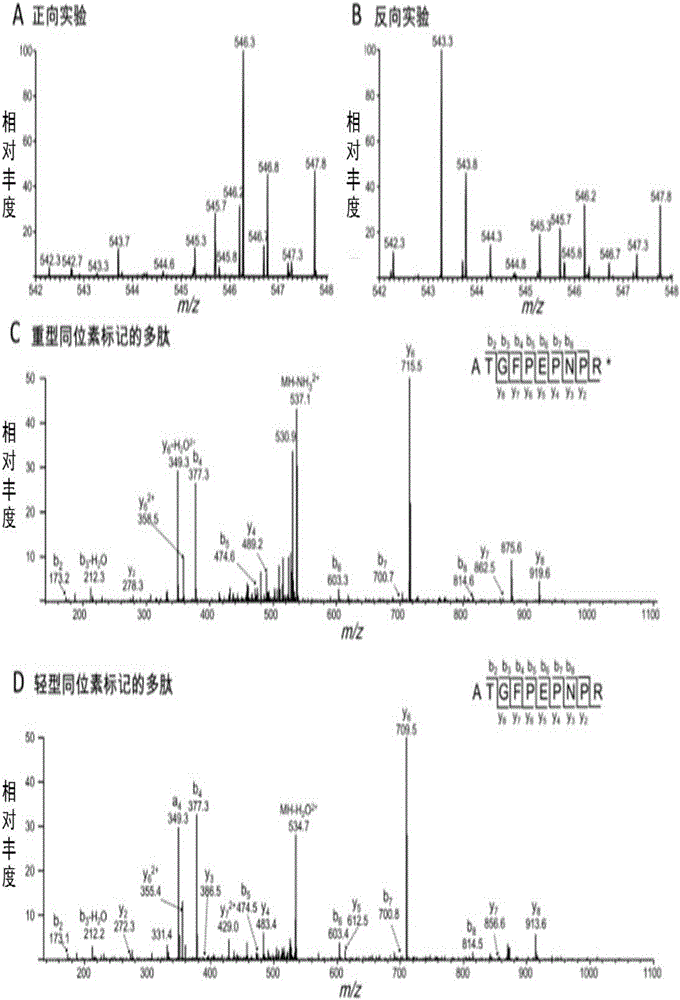 Application of nucleic acid aptamers in identifying and being bound with integrin alpha4