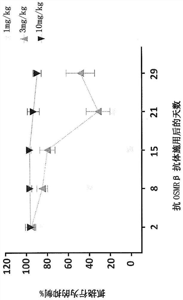 TREATMENT OF SKIN DISEASES OR DISORDERS BY DELIVERY OF ANTI-OSMRbeta ANTIBODY