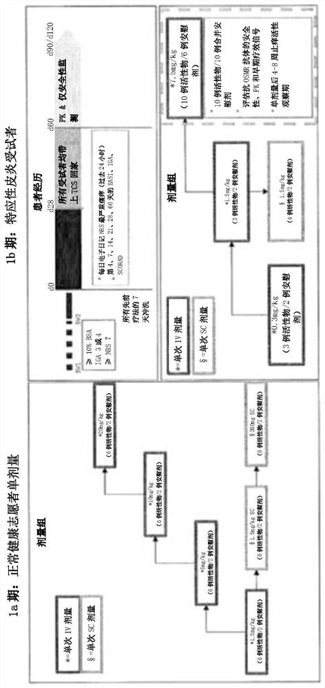 TREATMENT OF SKIN DISEASES OR DISORDERS BY DELIVERY OF ANTI-OSMRbeta ANTIBODY